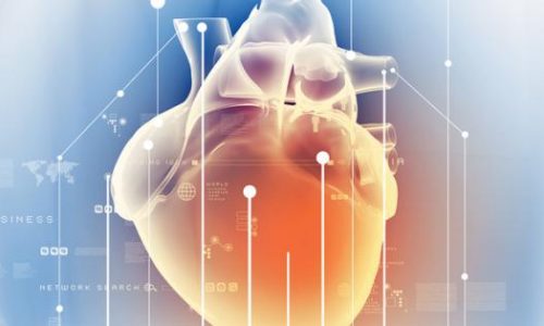 AI-assisted echocardiogram analysis improves reproducibility of LVEF measurements